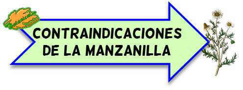 contraindicaciones de la manzanilla