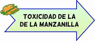 manzanilla toxicidad