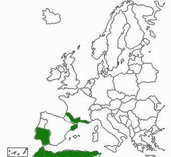 mapa de distribucion ranita meridional