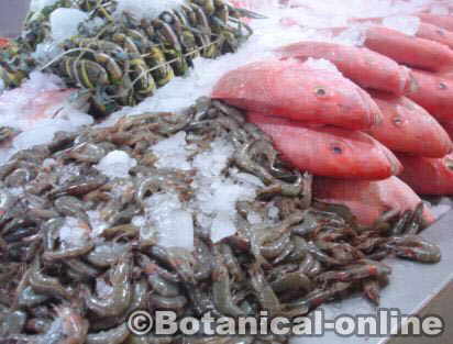 alimentos marinos pescado gambas