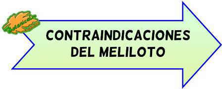 contraindicaciones del meliloto