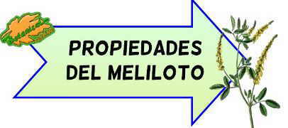 propiedades del meliloto