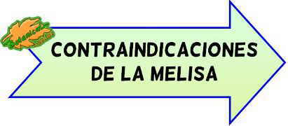 contraindicaciones de la melisa