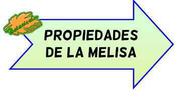 propiedades de la melisa