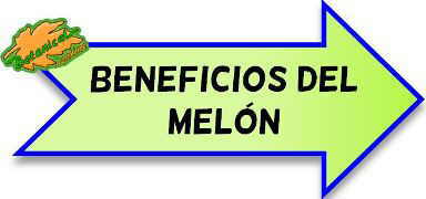 propiedades medicinales del melon 