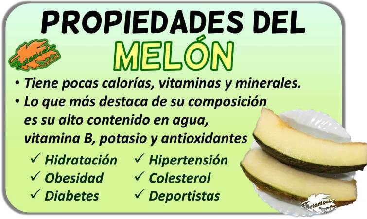 Propiedades medicinales vitaminas beneficios melones