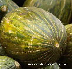 melones ricos en vitamina B3 o niacina