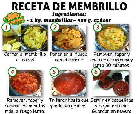 Receta de membrillo – Botanical-online