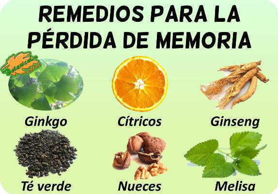 tratamiento natural perdida falta de memoria plantas medicinales y remedios