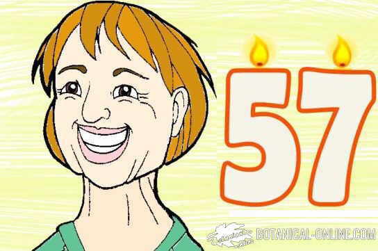 mujer menopausia