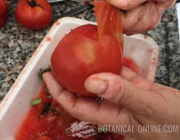 Cortando un tomate para extraer su jugo