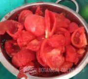 tomates