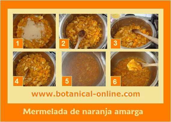 Elaboración de mermelada de naranja paso a paso