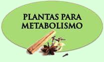 Remedios del metabolismo