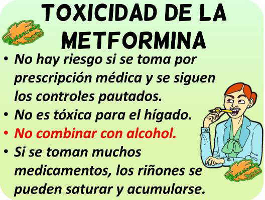 porque la metformina sirve para adelgazar porque la metformina sirve para adelgazar