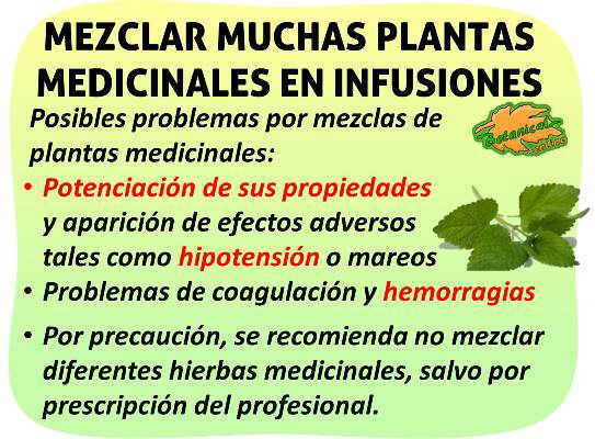 es malo mezclar mas de dos plantas en infusiones