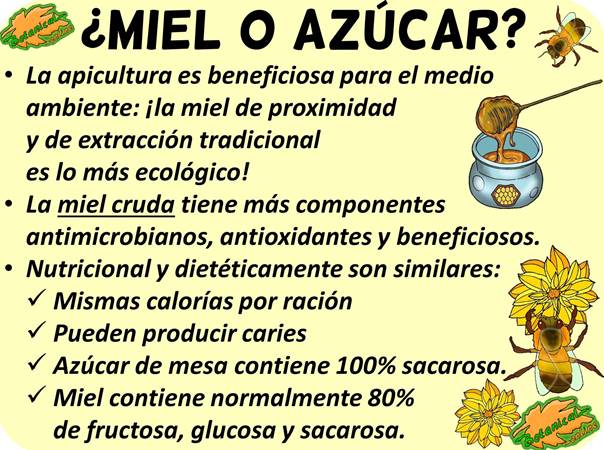 miel azucar diferencias