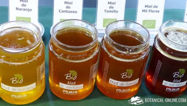 miel cruda sin filtrar tipos muira ecologica