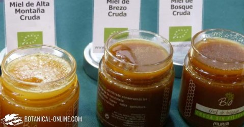 miel cruda sin filtrar tipos muira ecologica