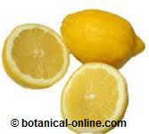 Limones para el herpes