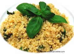 Quinoa con albahaca