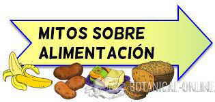 mitos sobre alimentacion