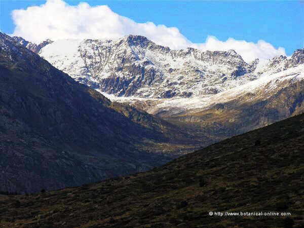 Montañas nevadas