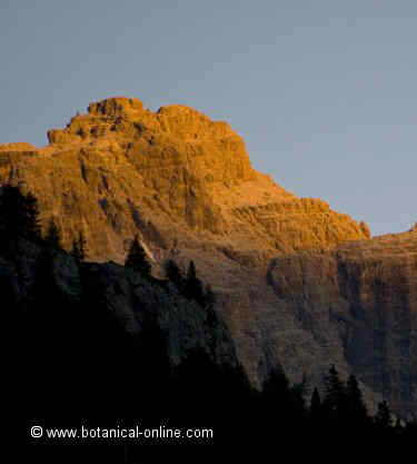 dolomitas luz tarde