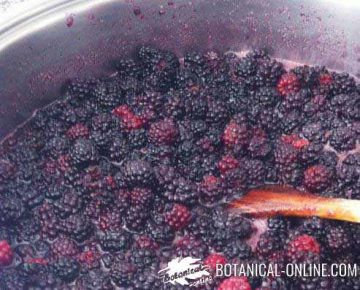 receta mermelada de moras zarzamoras casera paso a paso