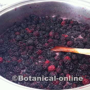 receta mermelada de moras