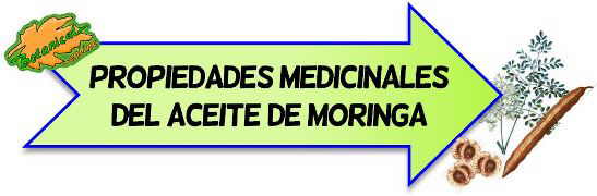 propiedades medicinales aceite de moringa