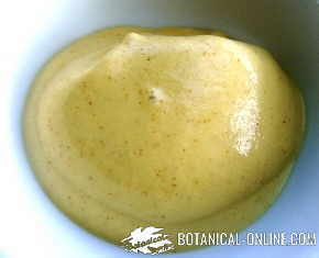 salsa mostaza blanca