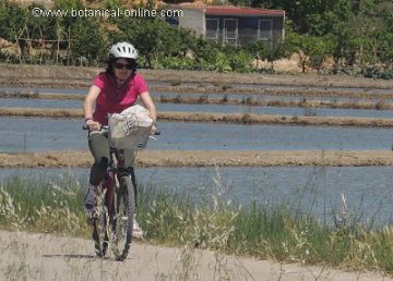 mujer en bicicleta