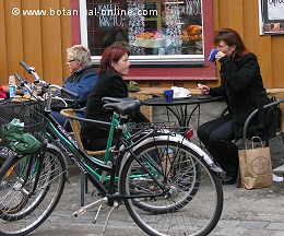 Mujeres tomando te
