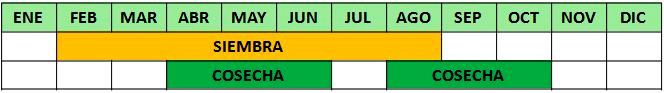 Calendario nabo