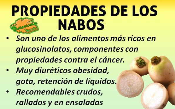 propiedades medicinales curativas beneficios del nabo