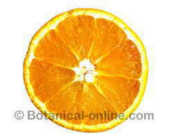 naranja partida