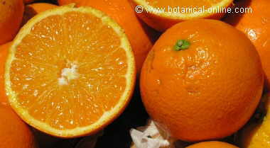 Naranjas navelate