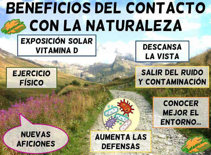 beneficios contacto naturaleza ejercicio aire libre