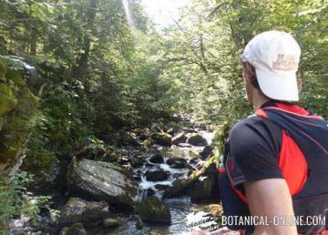 Cómo vestirse para ir a la montaña con ropa adecuada y práctica –  Botanical-online