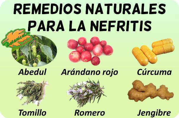 nefritis plantas medicinales remedios suplementos tratamiento natural