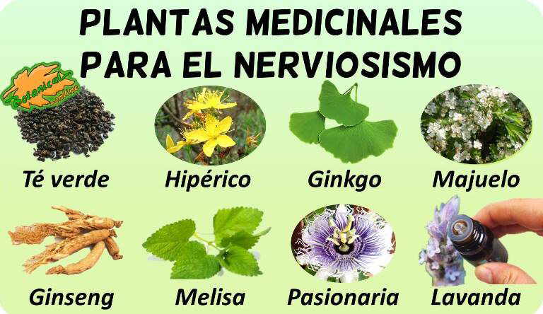 plantas medicinales nervios nerviosismo estres tension