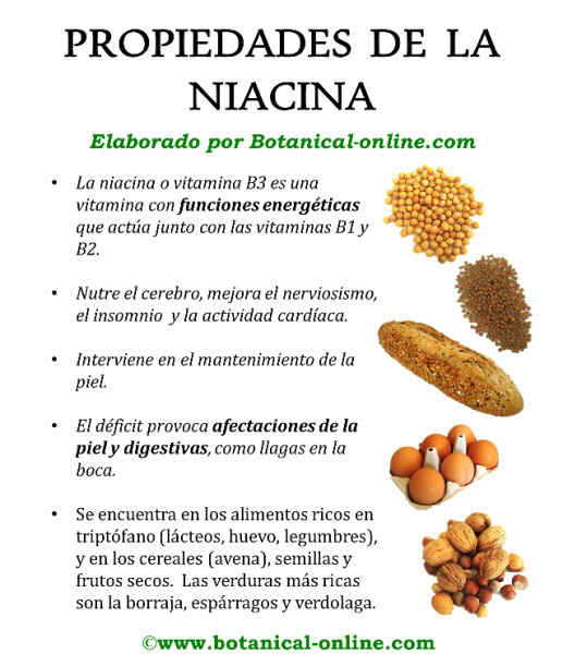 Propiedades de los integrales – Botanical-online