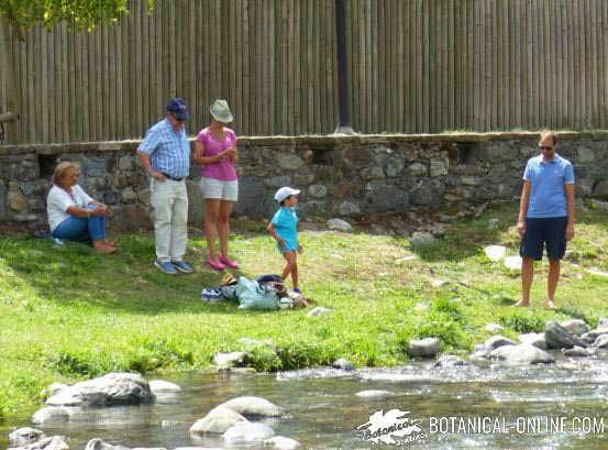 niños al sol