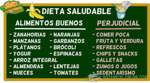 educacion nutricional dieta saludable niños escuelas taller