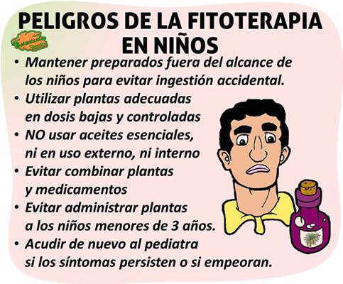 toxicidad peligros que presenta la fitoterapia plantas medicinales en niños