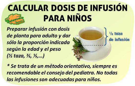 plantas medicinales infusiones dosis cantidad para niños 