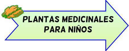 Plantas medicinales para niños