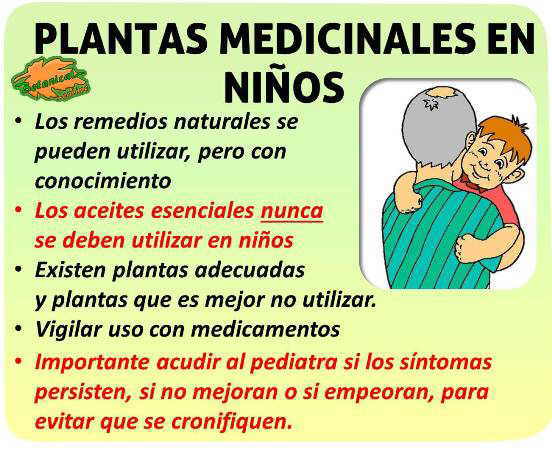 plantas medicinales y remedios caseros en bebes niños pediatria