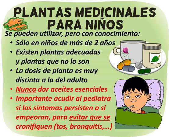 plantas medicinales y remedios caseros para niños